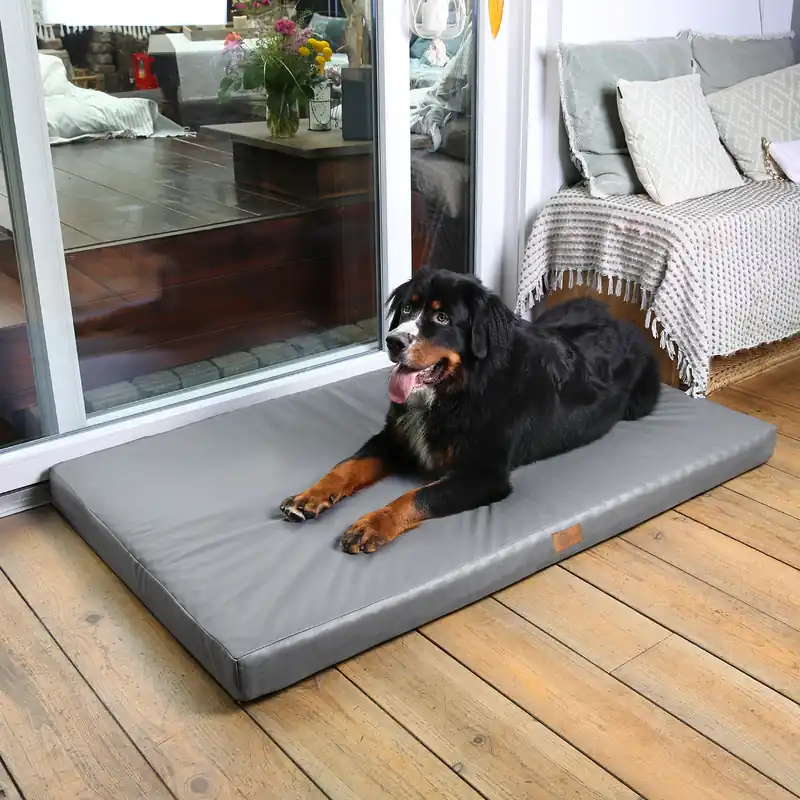 Brandneu - 2nd Chance - your GEAR Biella 160x100x10 cm orthopädisches Hundebett, Hundematte, Hundekissen, waschbar (71364)