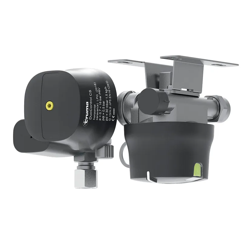 Hammerpreis | Truma DuoControl CS horizontal 30 mbar