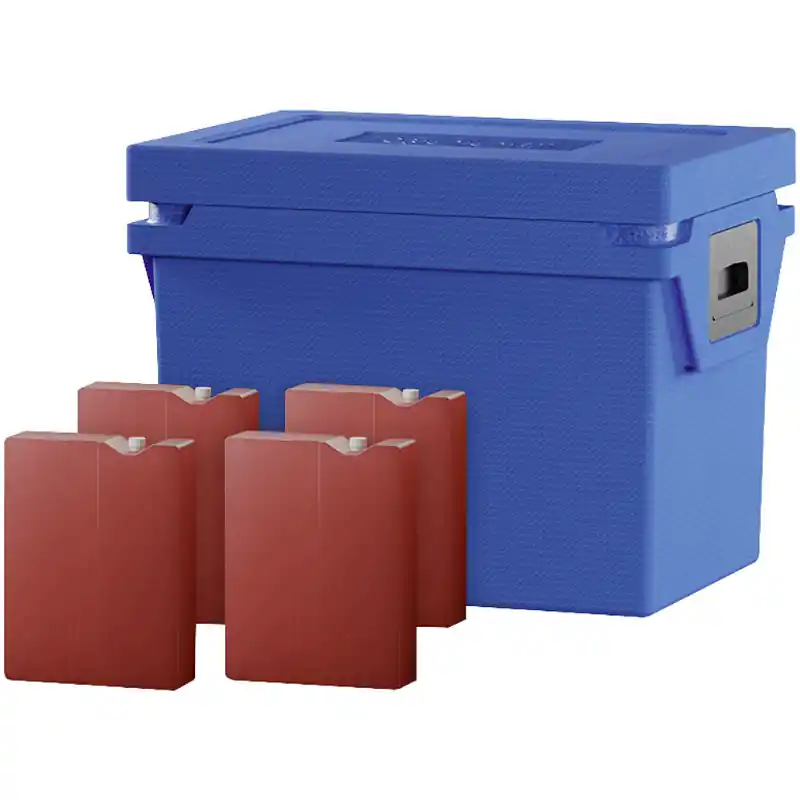 Kostenlose Rückgabe | Qool Kühlbox M Standard Cool
