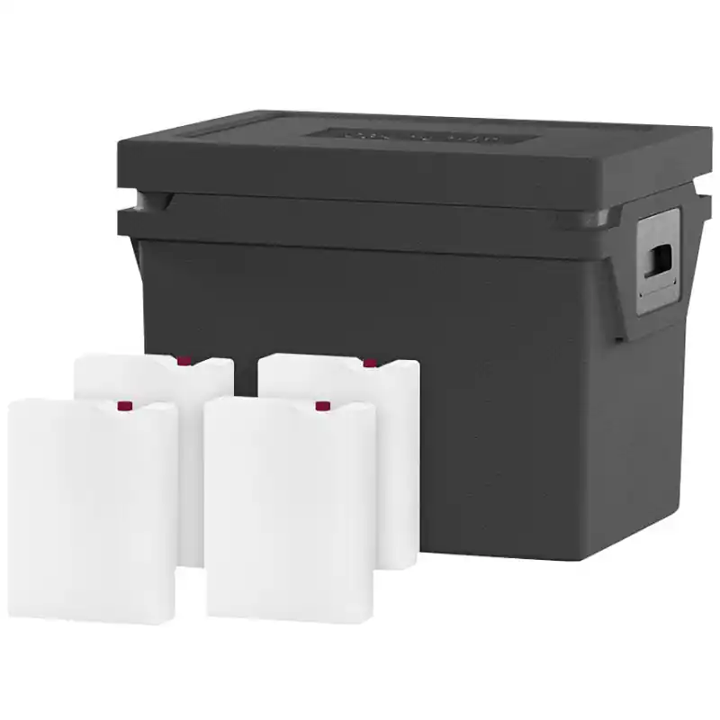Neuheit | Qool Kühlbox Eco+ M Standard Frozen