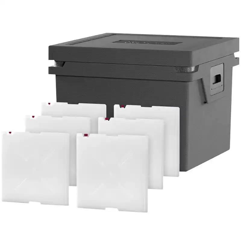 Begrenzte Stückzahl | Qool Kühlbox Eco+ L Standard Frozen