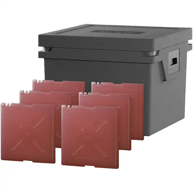 Qool Kühlbox Eco+ L Standard Cool - Sicher bezahlen