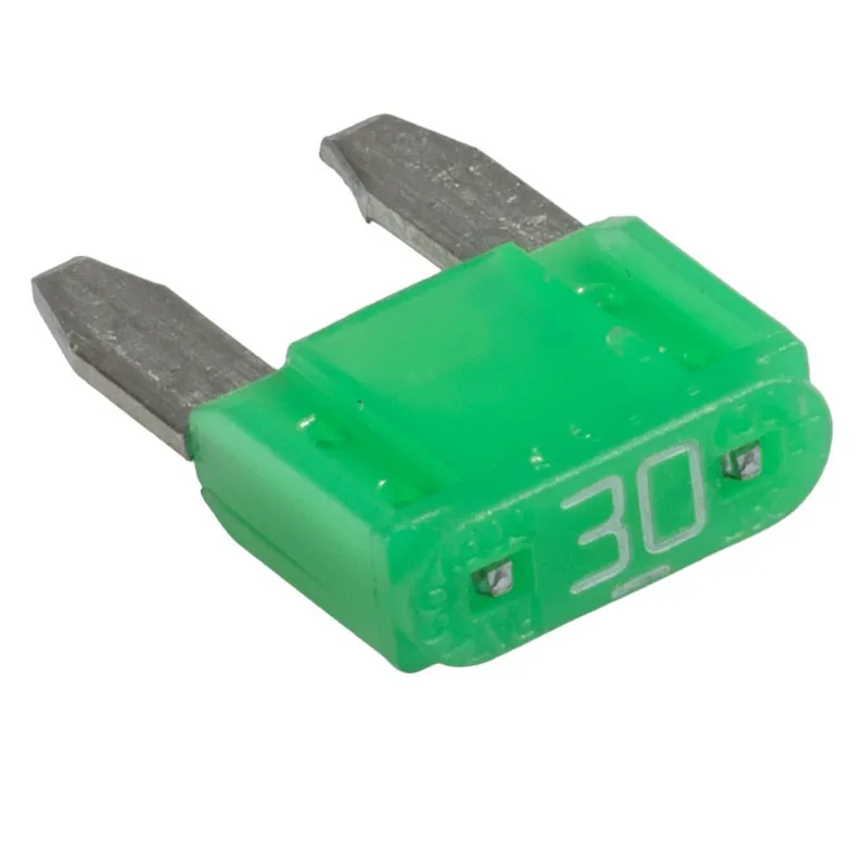 Clesana 30A Sicherung (PCB) für C1 Toilette - Extra sparen