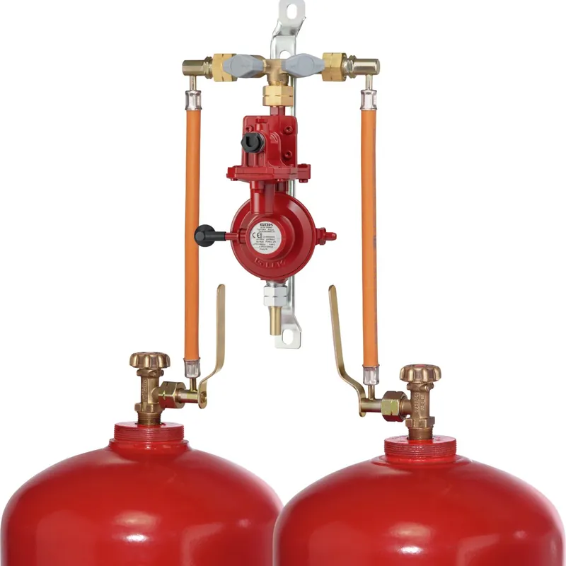 2-Flaschenanlage 4 kg/h - Nur wenige verfügbar
