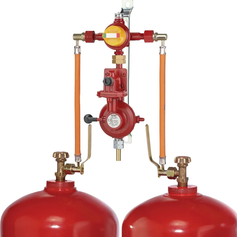 2-Flaschenanlage 4 kg/h (GF AUV Sichtanzeige OPSO PR) | Sonderpreis