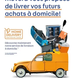 Plakat Home Delivery französisch DIN A3 - Hammerpreis
