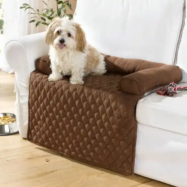 Endet bald - . Tierdecke Couch 37 x 26 x 6 cm