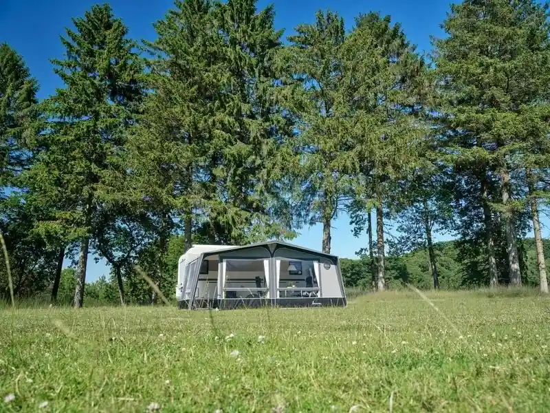 Top-Qualität | Isabella Ambassador Etna mit CarbonX Gestänge