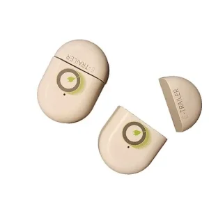 Profi-Qualität | E-Switch E-Trailer Schloss für Fenster und Türen